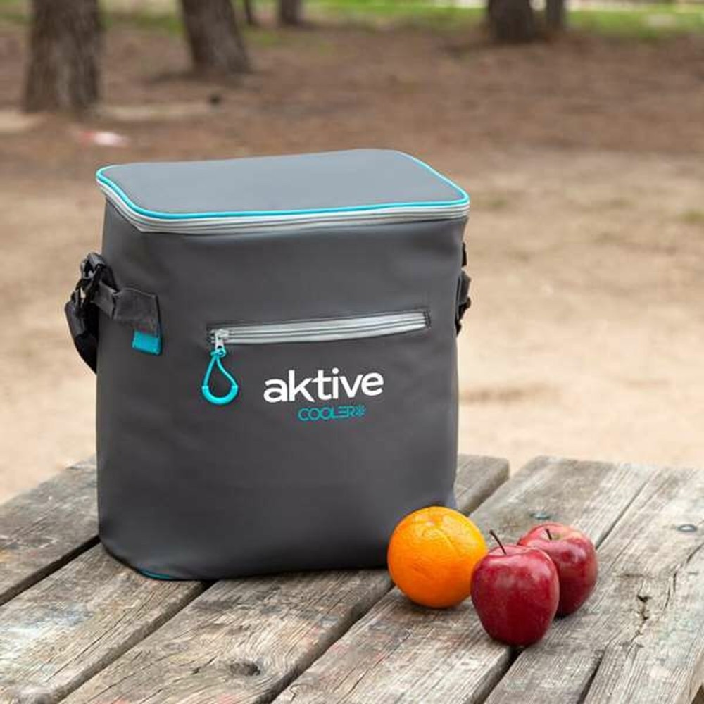 Portable Fridge Aktive 23 L 30 x 22 x 35 cm