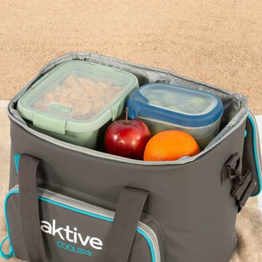 Portable Fridge Aktive 20 L