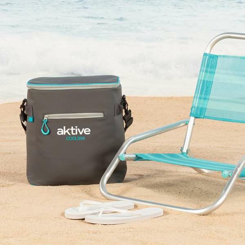 Portable Fridge Aktive 23 L 30 x 22 x 35 cm