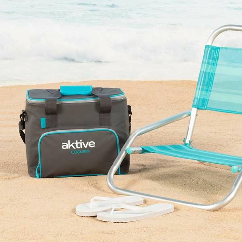 Portable Fridge Aktive 20 L