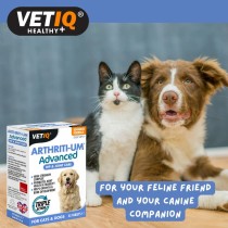 Complément et vitamines Mark & Chappell VETIQ ARTHRITI-UM ADVANCED