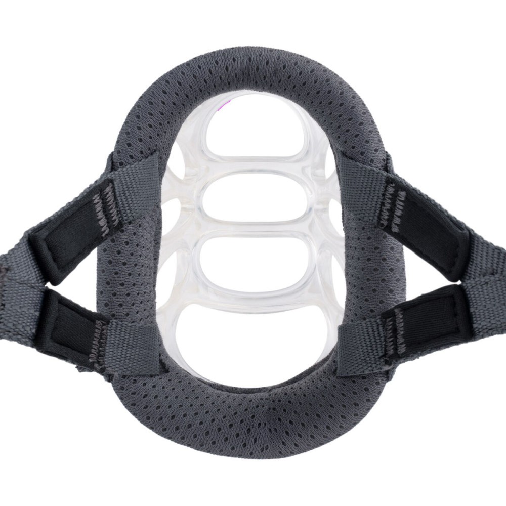 Muzzle Company of Animals Transparent Size 1