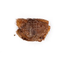 Nassfutter Snackys Fisch