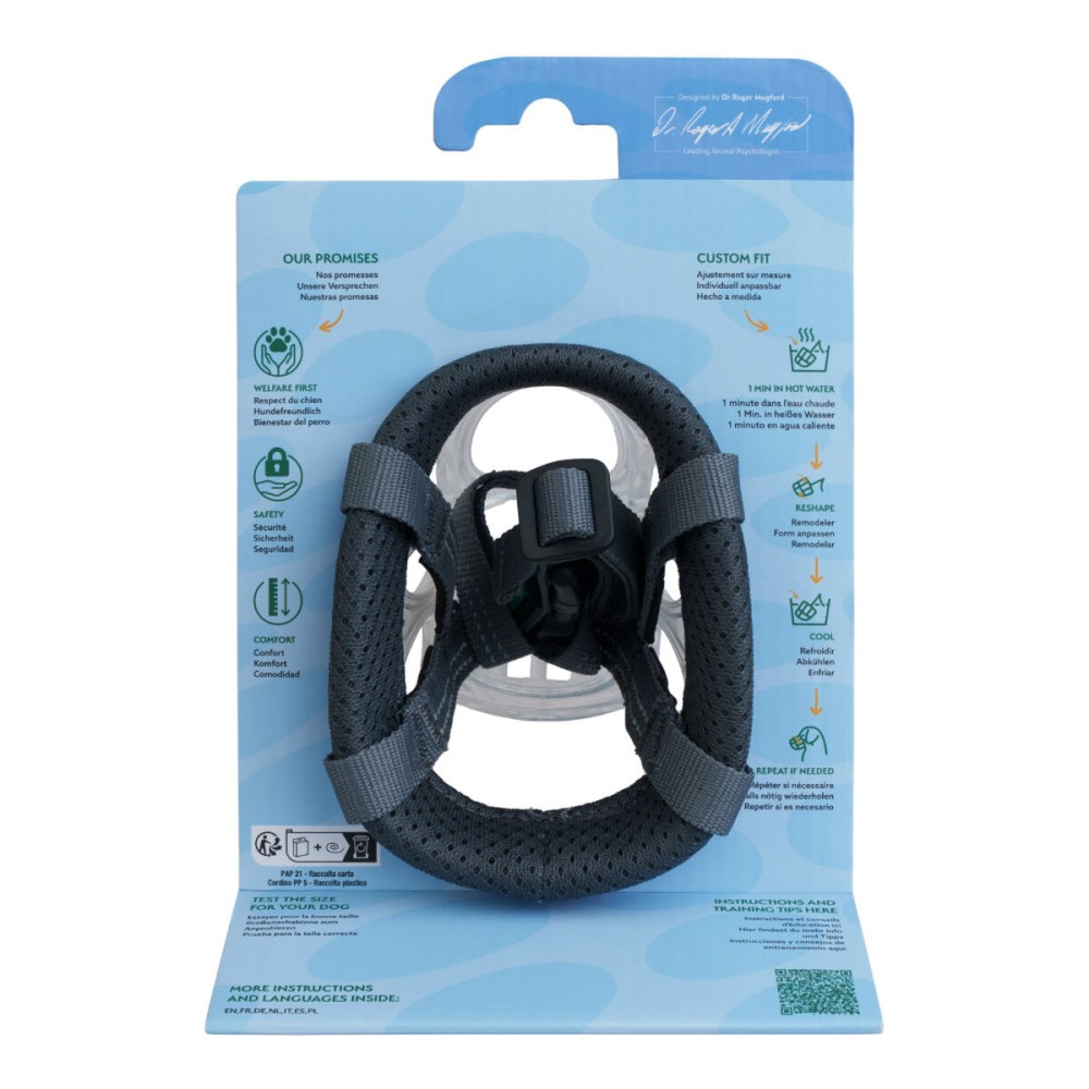 Muzzle Company of Animals Transparent 3