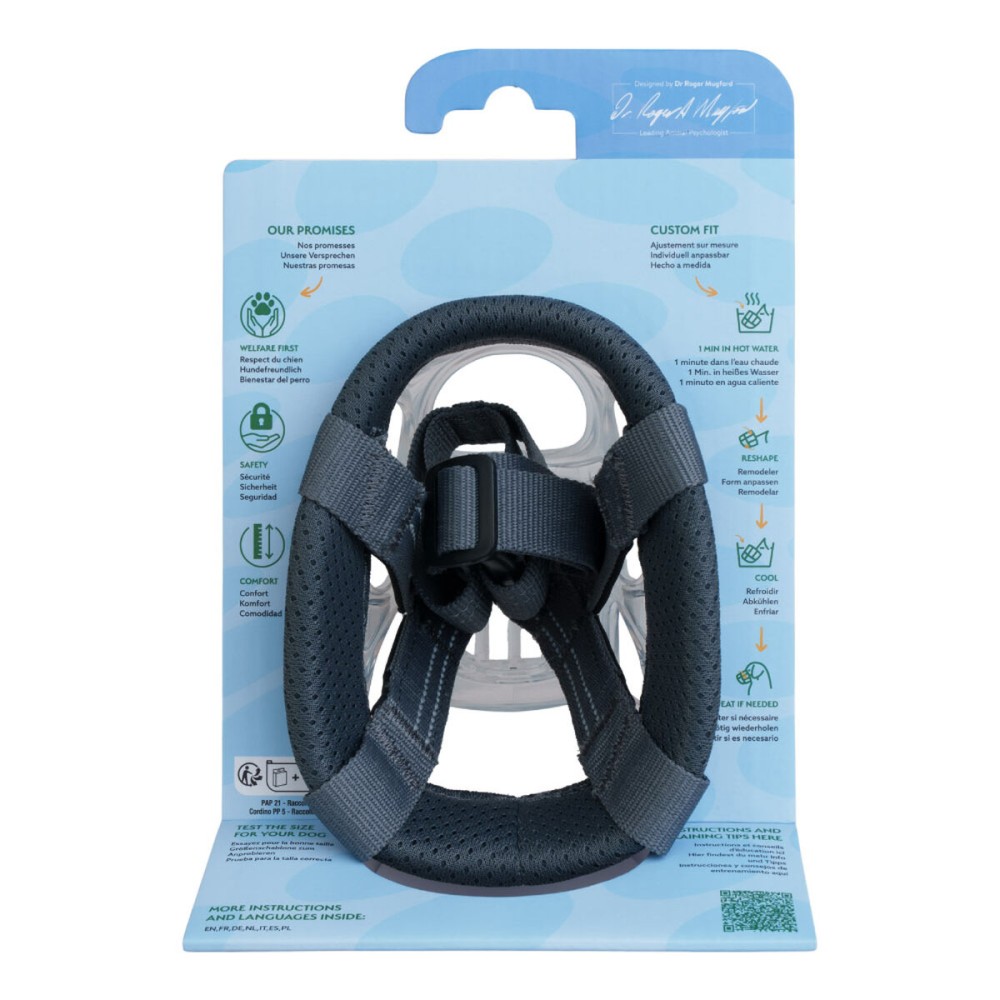 Muzzle Company of Animals Transparent 4