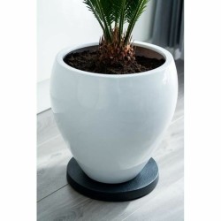 Flowerpot Standt with Wheels Nature Black polypropylene (Ø 29,2 x 4 cm)