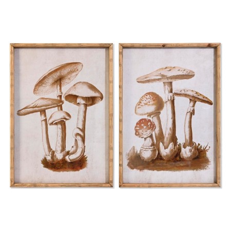 Cadre DKD Home Decor Verre 50 x 70 x 2,8 cm 50 x 2,8 x 70 cm Champignons (2 Unités)