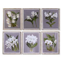 Cadre DKD Home Decor Sapin Verre 50 x 60 x 2,8 cm 50 x 2,8 x 60 cm Fleurs (6 Pièces)