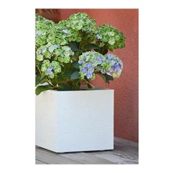 Pot EDA Blanc Plastique 5 cm