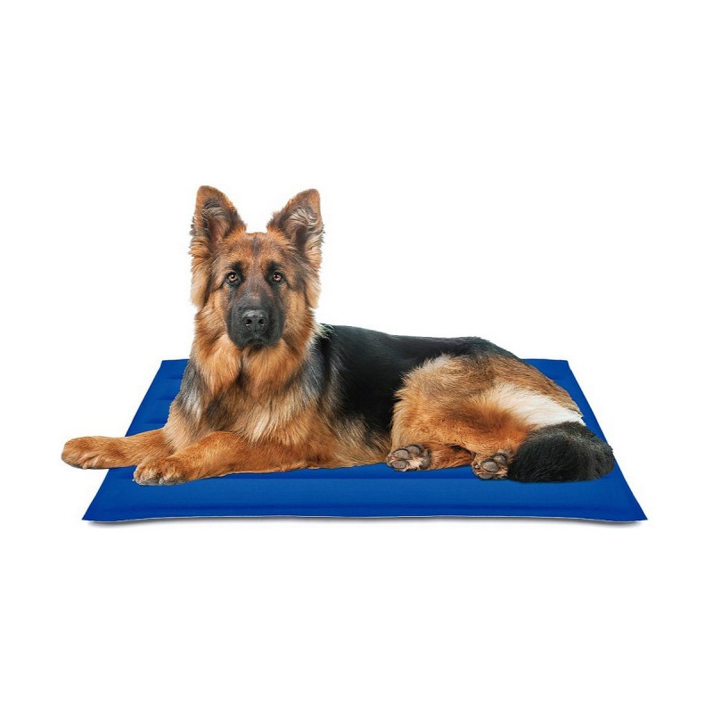 Tapis pour chien Nayeco Bleu Gel réfrigérant 90 x 105 cm