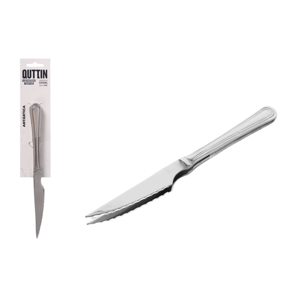 Steakmesser-Set Quttin Antártica Silberfarben Edelstahl 21,5 x 1,9 cm 2 Stücke (12 Stück)