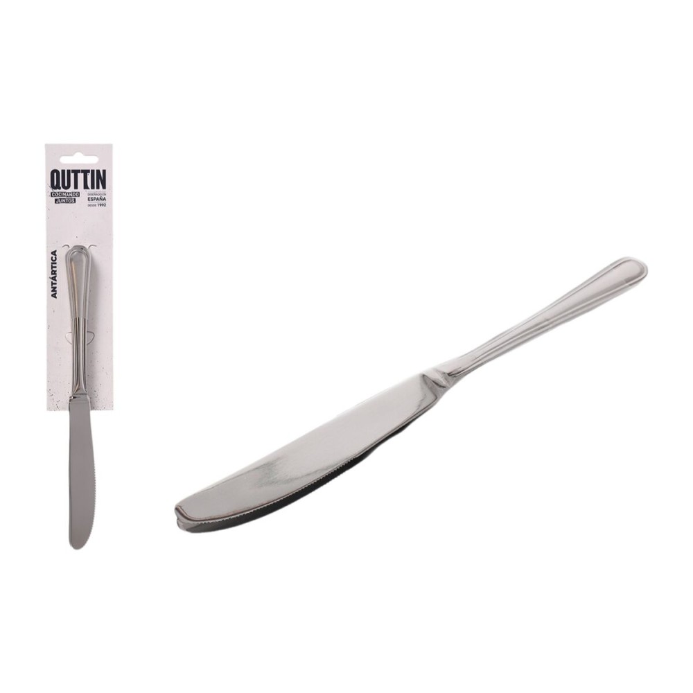 Messerset Quttin Antártica Silberfarben Edelstahl 21,6 x 1,8 cm 2 Stücke (12 Stück)