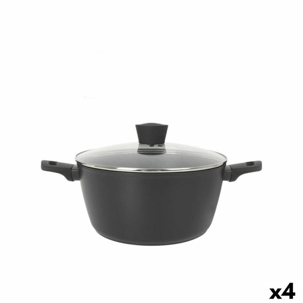Topf mit Deckel MasterChef 28 cm (4 Stück)