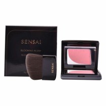 Blush Kanebo 4 g