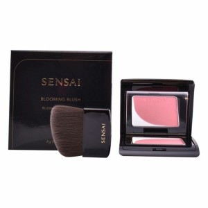 Blush Kanebo 4 g