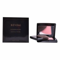 Rouge Kanebo 4 g