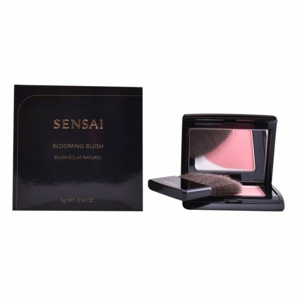 Blush Kanebo 4 g