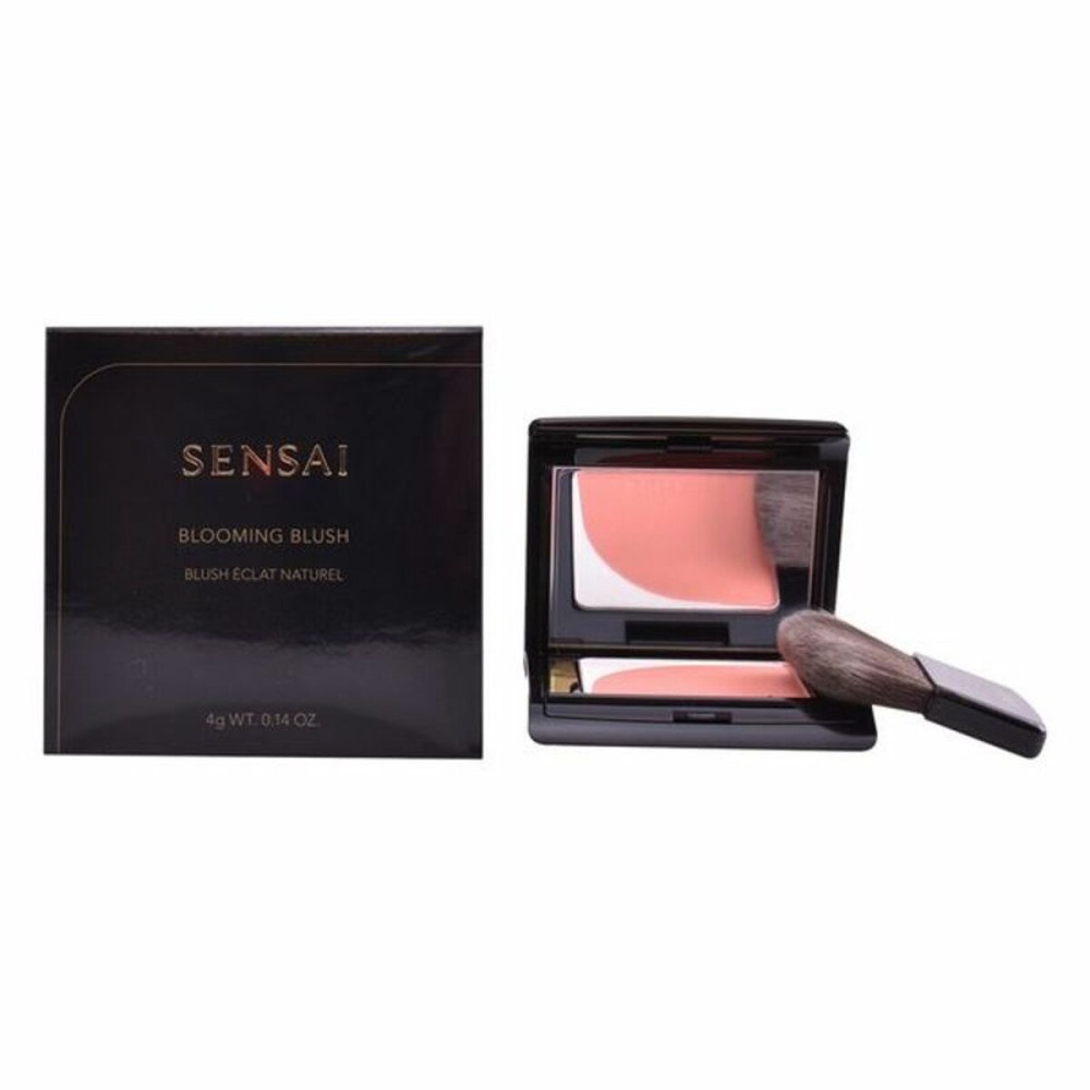 Blush Kanebo 4 g