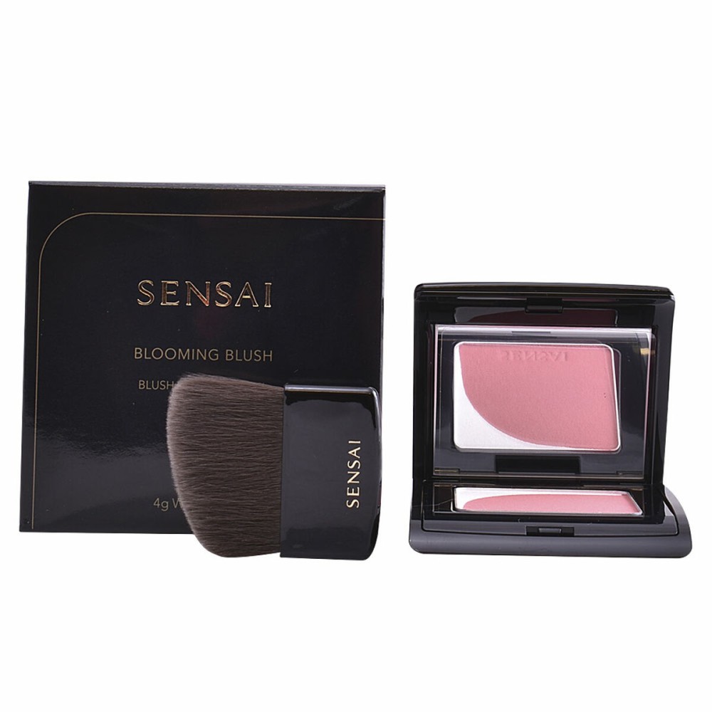 Blush Kanebo 4 g