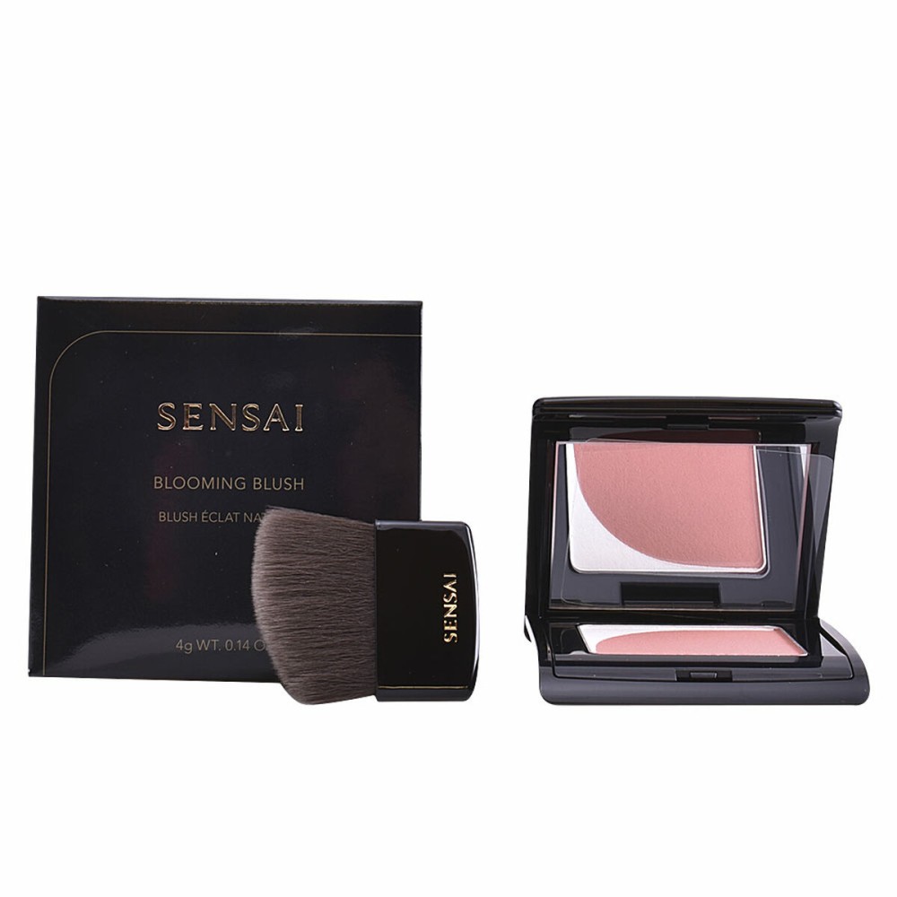 Blush Kanebo 4 g