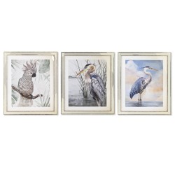 Cadre DKD Home Decor 40 x 1,6 x 60 cm Oiseaux méditerranéen (3 Pièces)