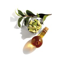 Dauerfärbung Garnier Nutrisse Cassis Nº 4,26