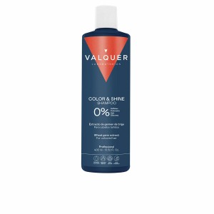 Shampoo Colour Reinforcement Valquer CHAMPÚ PROFESIONAL 400 ml