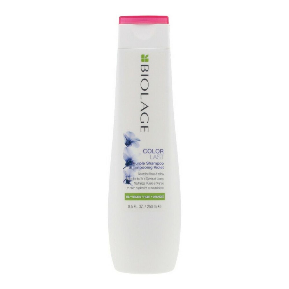 Shampoo Colorlast Biolage E2978700 Purple 250 ml
