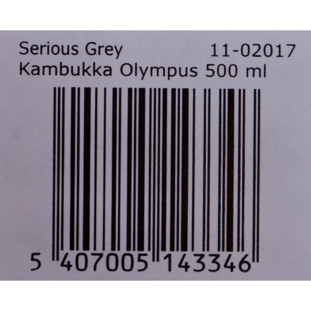 Thermos Kambukka Olympus Acier inoxydable 500 ml