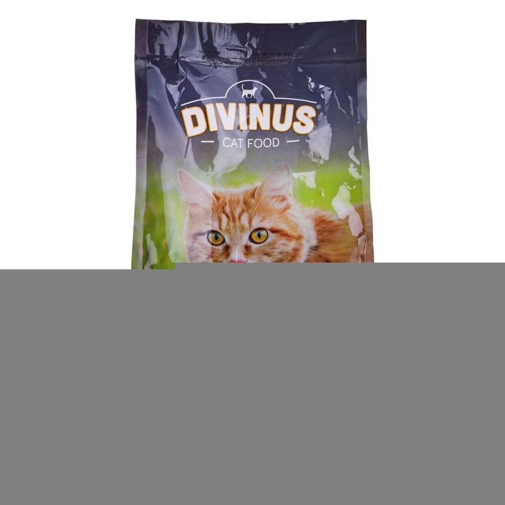 Katzenfutter Divinus Meat Erwachsener Huhn 2 Kg