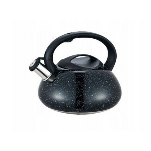 Bouilloire Feel Maestro MR-1316 black Noir 3 L