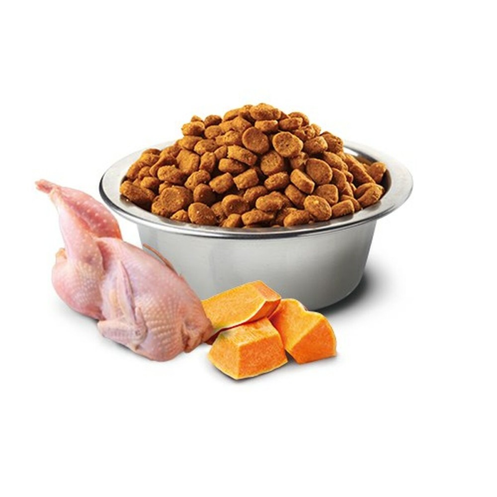 Katzenfutter Farmina Kürbis Erwachsener Huhn 1,5 Kg