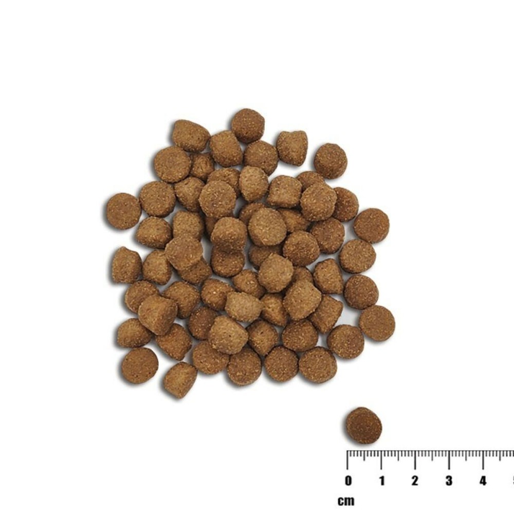 Futter VETEXPERT Lachsfarben 10 kg