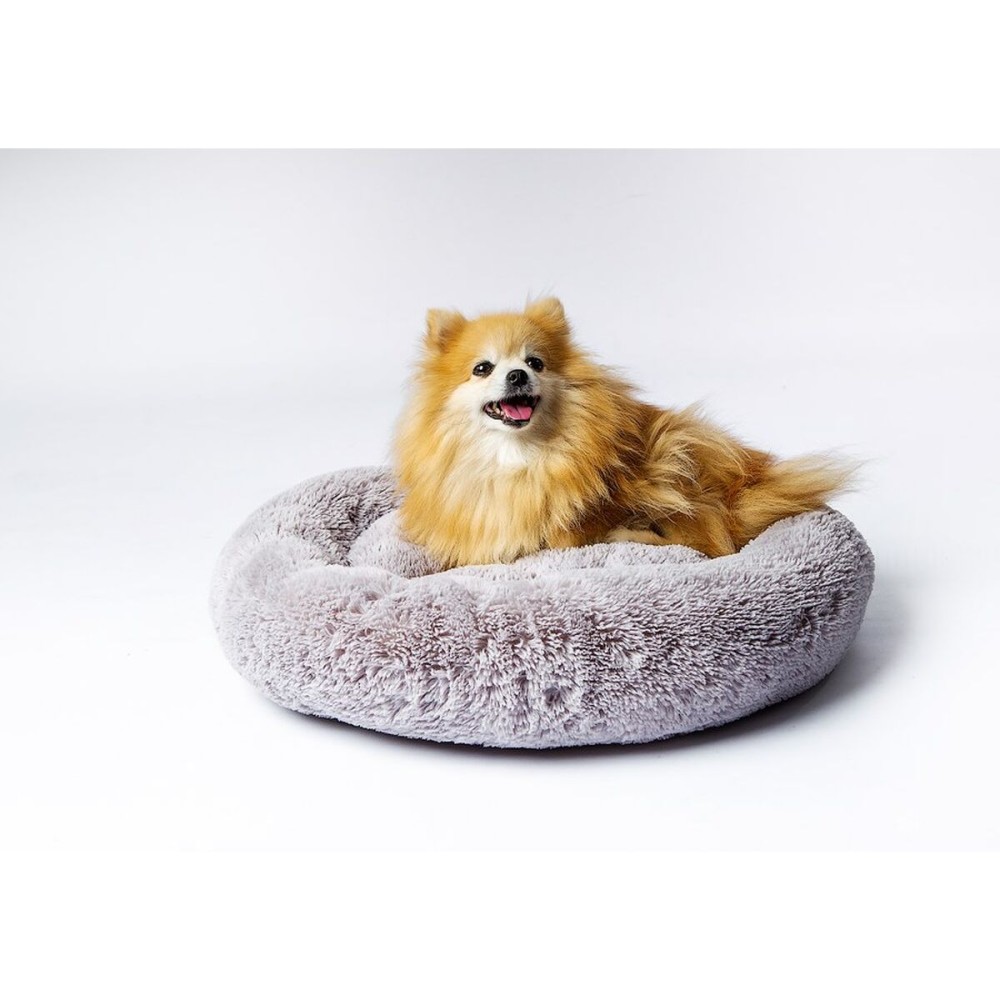 Haustierbettchen GO GIFT M Grau 50 x 10 x 57 cm