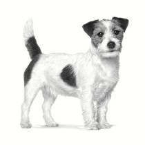 Nourriture Royal Canin Gastrointestinal Low Fat Small VHN Adulte Viande Oiseaux 1,5 Kg