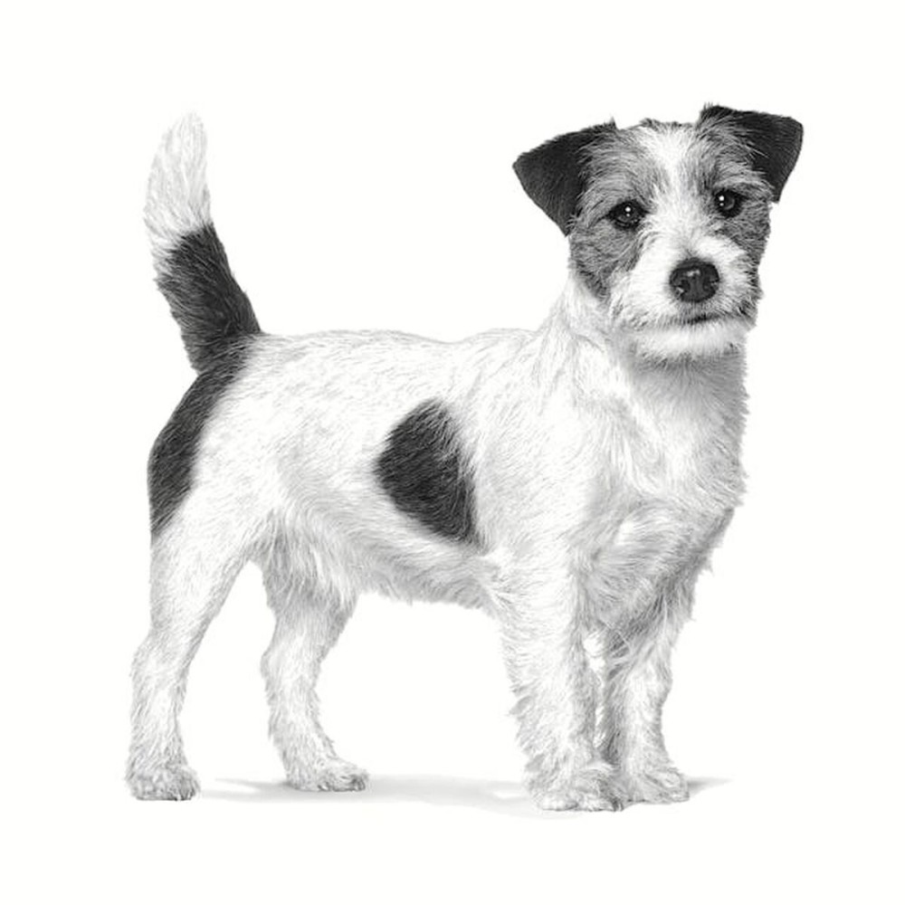 Nourriture Royal Canin Gastrointestinal Low Fat Small VHN Adulte Viande Oiseaux 1,5 Kg