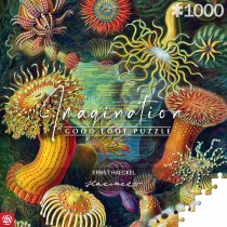 Puzzle Cenega Publishing Ernst Haeckel Criaturas marinas 1000 Pieces