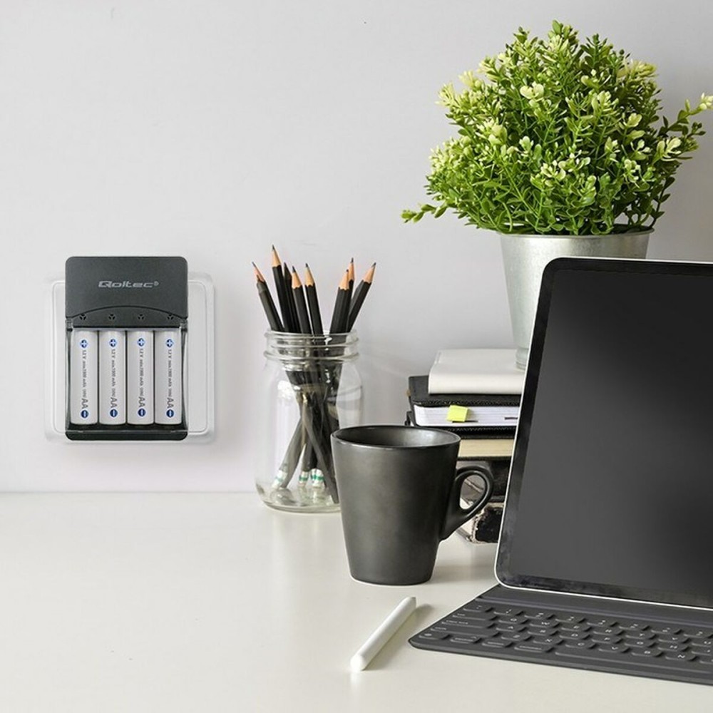 Chargeur de batterie Qoltec 50653