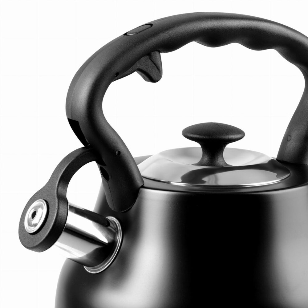 Kettle Promis TMC21C Black Stainless steel 3 L