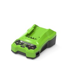 Rechargeable lithium battery Greenworks 2932407 220-240 V