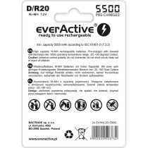 Rechargeable battery EverActive EVHRL20-5500 5000 mAh 1,2 V (2 Units)