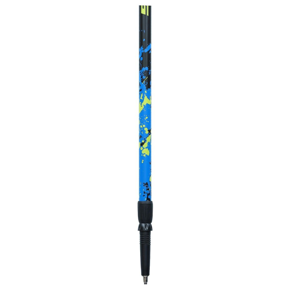 Bâton Trekking Viking Ruten Pro Nordic Bleu Noir (2 Unités)