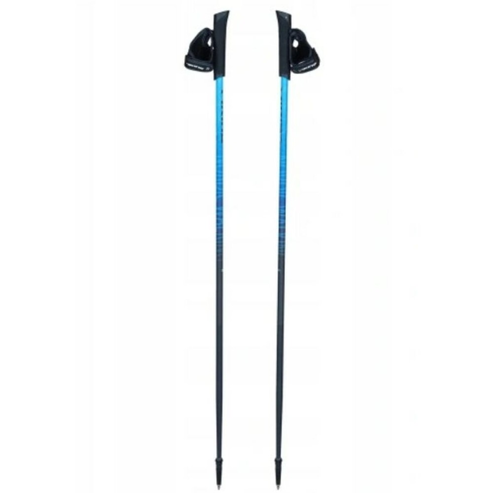 Trekking Stick Viking Pro-Trainer Blue Black 115 cm (2 Units)