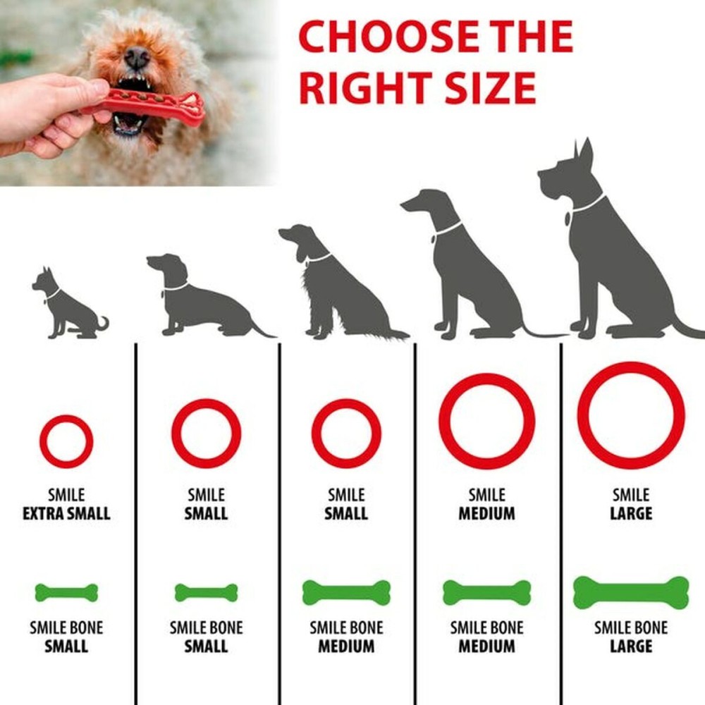 Jouet pour chien Ferplast Rouge Caoutchouc animaux