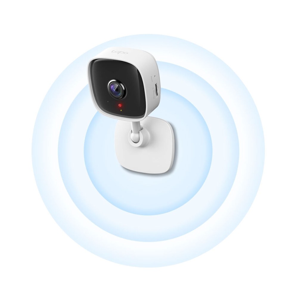 IP camera TP-Link C100 V1