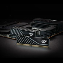 RAM Memory Adata AX5U6000C3016G-DTLABBK 32 GB DDR5 6000 MHz CL40
