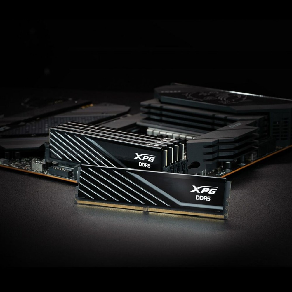 RAM Memory Adata AX5U6000C3016G-DTLABBK 32 GB DDR5 6000 MHz CL40