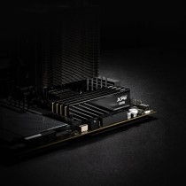RAM Memory Adata AX5U6000C3016G-DTLABBK 32 GB DDR5 6000 MHz CL40