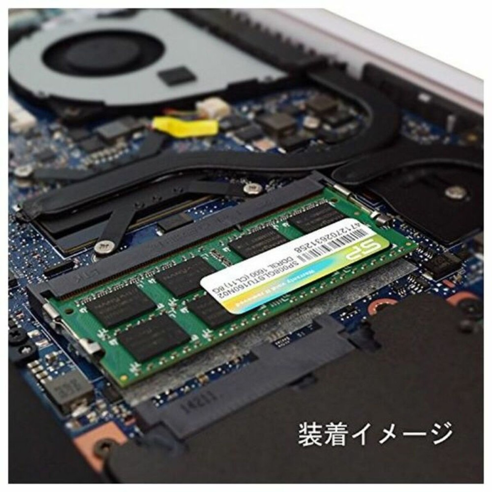 RAM Memory Silicon Power PAMSLPSOO0022 8 GB 1600 MHz DDR3-PC3-12800 8 GB 1600 mHz CL11 DDR3L