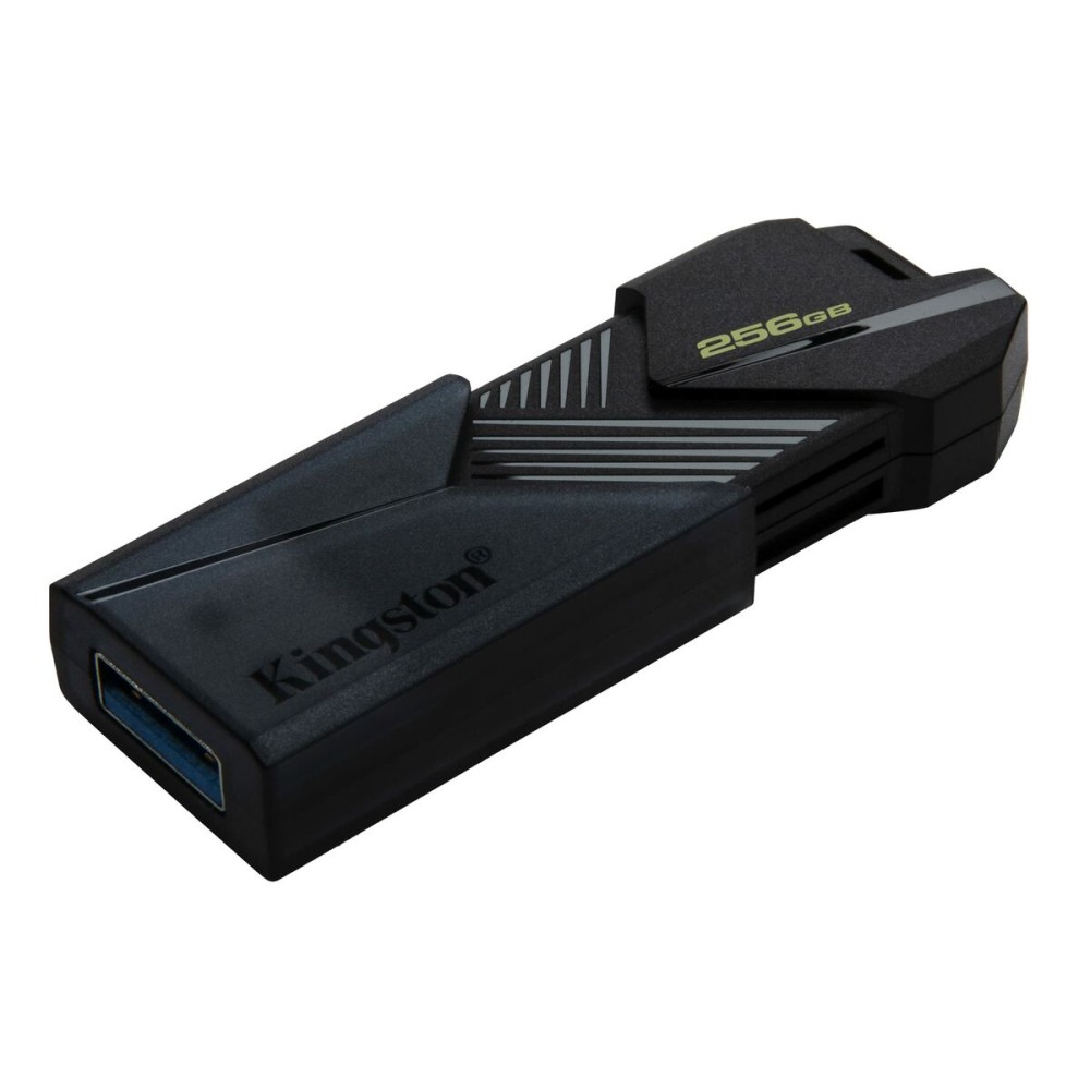 USB Pendrive Kingston DTXON/256GB Schwarz 256 GB (1 Stück)